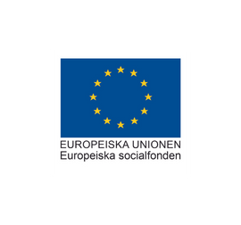 Europeiska Unionen Europeiska Socialfonden